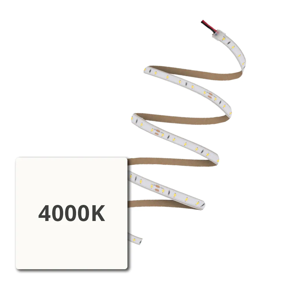 4.000K (Kelvin)