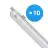 Multipack 10x Philips LED Feuchtraumleuchte CoreLine WT120C G2 42.9W 6000lm - 840 Kaltweiß | 150cm 