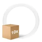 Multipack 10x Ledvance LED Röhre T9 Value rund (EM/Mains) 18.3W 2200lm - 840 Kaltweiß | Ersatz für 32W
