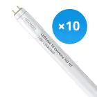 Multipack 10x Noxion LED Röhre T8 Avant Extreme (HF) High Output 14W 2100lm - 840 Kaltweiß | 120cm - Ersatz für 36W
