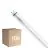Multipack 10x Philips Master Tube LED T8 (EM/Direct 230V) High Output T8 11.3W 2100lm - 865 Lumière Du Jour | 120cm - Équivalent 36W