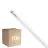 Multipack 10x Philips Master Tube LED T8 (EM/Direct 230V) High Output T8 7.6W 1150lm - 865 Lumière Du Jour | 60cm - Équivalent 18W