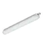 Philips Réglette LED Étanche CoreLine WT120C 44W 6000lm - 840 Blanc Froid | 150cm 