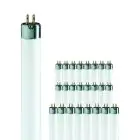Multipack 25x Philips T5 Short 8W - 640 Blanc Froid | 29cm