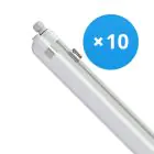 Multipack 10x Philips Réglette LED Étanche CoreLine WT120C G2 42.9W 6000lm - 840 Blanc Froid | 150cm 