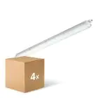 Multipack 4x Philips Réglette LED Étanche CoreLine WT120C Gen2 25/43W 3700/6000lm - 840 Blanc Froid | 150cm
