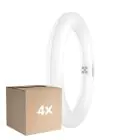 Multipack 4x Osram Tube LED T9 Circulaire (EM/Direct 230V) 11W 1320lm - 840 Blanc Froid | Équivalent 22W